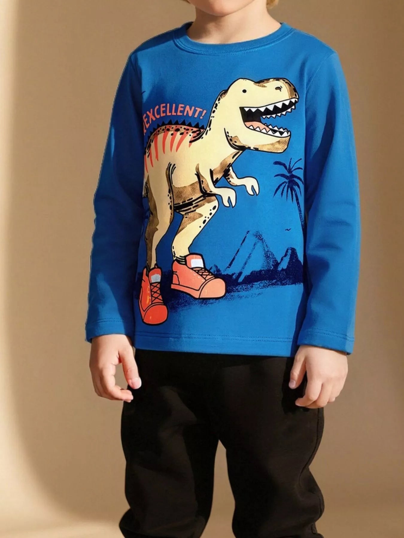 Children's Dinosaur Graphic Long Sleeve Crew Neck T-Shirt
