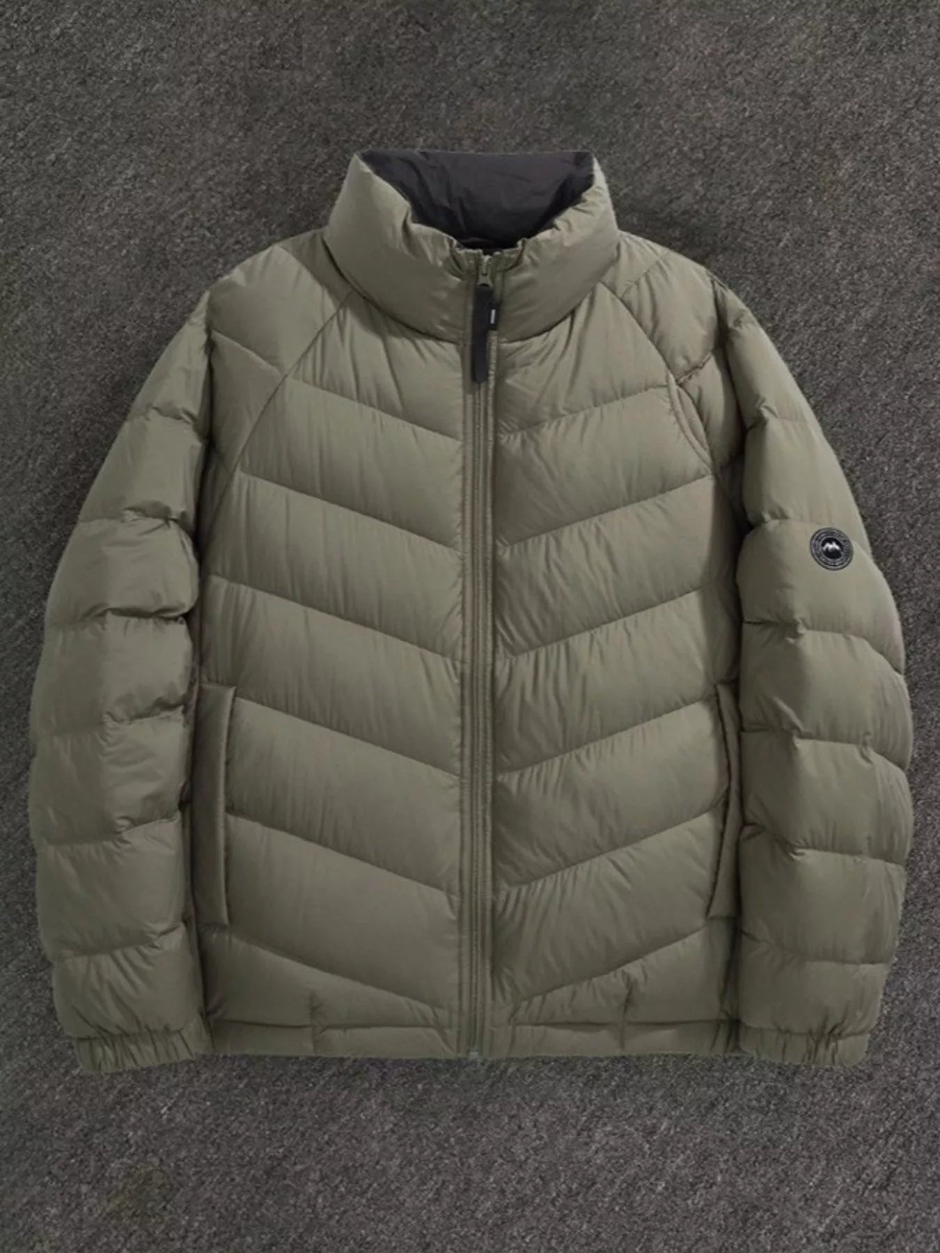 Men's Plus Size Zip Up Stand Collar Down Jacket